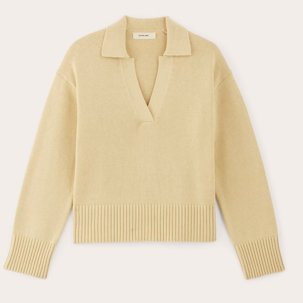Everlane Women's V-Neck Sweater in Cream